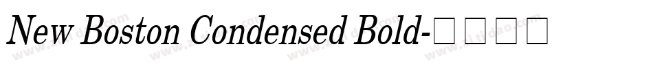 New Boston Condensed Bold字体转换